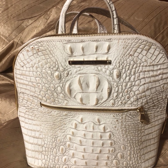 brahmin backpack